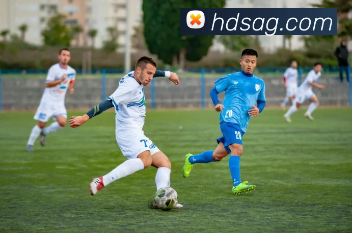 ag官网平台生态图